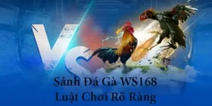 Chinh Phục Đấu Trường Đá Gà WS168 Tại 2Bong88 Cực Đỉnh