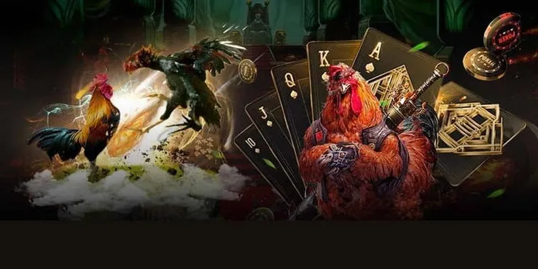 Bí Quyết Soi Kèo Đá Gà GA28 Tại 2Bong88 Chuẩn Xác