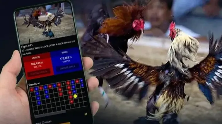 Đá Gà 2Bong88 Sân Chơi Đỉnh Cao Cho Kê Thủ Chuyên Nghiệp